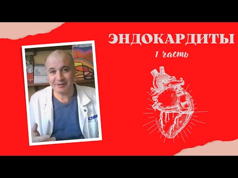 Video: Иттердеги жүрөк клапанынын инфекциясы (жугуштуу эндокардит)