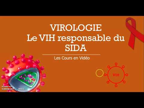 Vidéo: La Mesure De L'ADN Du VIH Intégré Ex Vivo Et In Vitro Donne Un Aperçu De La Formation Et Du Maintien Des Réservoirs