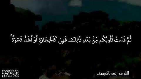 تلاوة من سورة البقرة - القارئ رعد الكردي