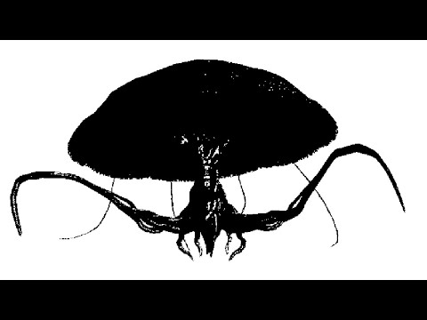 シェオルcとコルセアのws Ff11 Two Man Cell シェオルcとコルセアのws Ff11 Two Man Cell