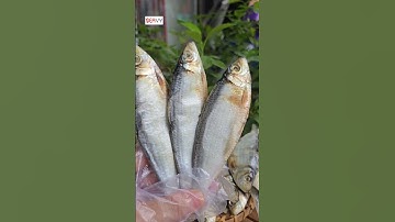 Khô cá trích, món cá khô gắn với nhiều thế hệ tuổi thơ