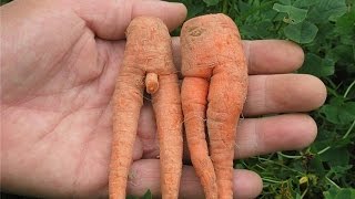 СМЕШНЫЕ ВИДЕО ПРИКОЛЫ ПОРЖАТЬ СМЕШНЫЕ ВИДЕО ПРИКОЛЫ ПОРЖАТЬ