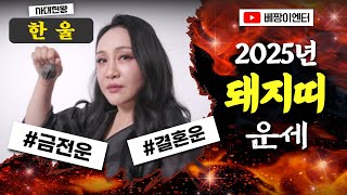 🌟2025년 돼지띠운세🌟신년운세🌟 #사대천왕 #한울