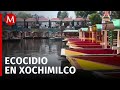 Riesgos de contaminación por aguas negras en San Gregorio Atlapulco,  Xochimilco