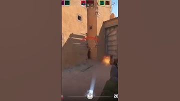 Bots wh #cs2 #gaming #cs2clips