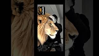 Big Dreams Festival Boundfollow The Journey irishdj djjourney festival new djlife