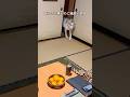 いつまで入っとんねん #shorts