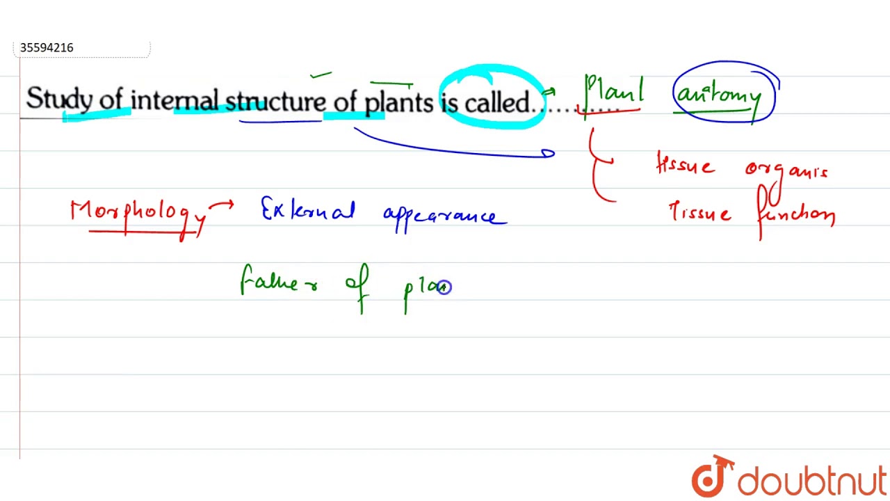 Study of internal structure of plants is called_____ YouTube