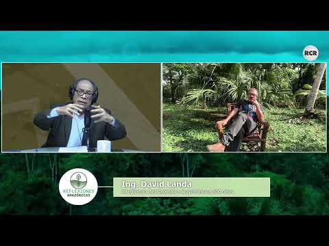 EL FUTURO DE LA AMAZONÍA Y LA AGROINDUSTRIA BAJO LA LUPA