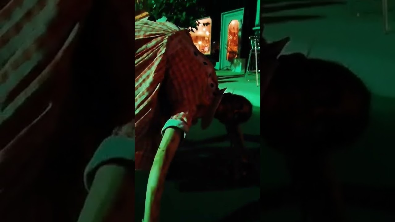 Creepy Crawlers!