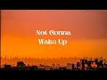 Not Gonna Wake Up - Mindme