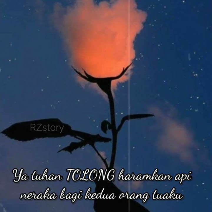 Story wa 30 detik sedih  buat orang tua