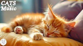 Healing Sleep Music For Cats: Deep Sleep Music, Stress Relief, Relaxing Music With Soft Water Sounds