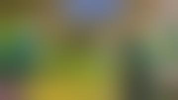 Bài 3: Hướng dẫn tỉa cây tại nhà hiệu quả/ cây xanh Vũng Tàu