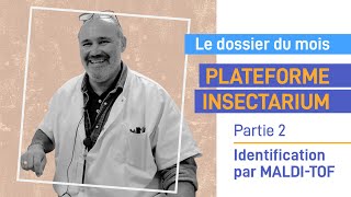 Plateforme insectarium : détection par MALDI-TOF - Partie 2