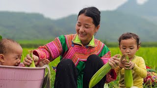 17-Years-Old Single Mother: Harvest corn garden Go to market to sell- Build bathroom -Building life