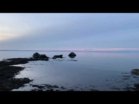 Parc national du BIC - Coucher avec les phoques