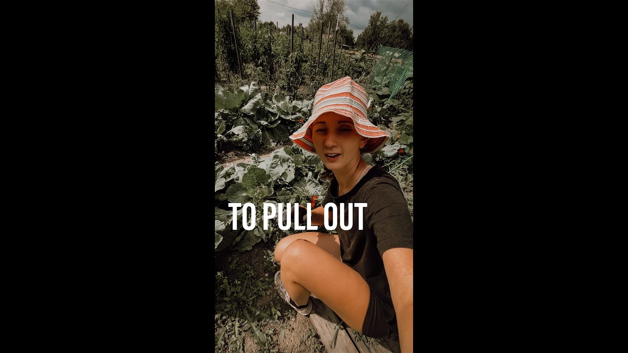 Gardening vocabulary in English