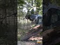 Satisfying Land Clearing 🌲 Brushworks