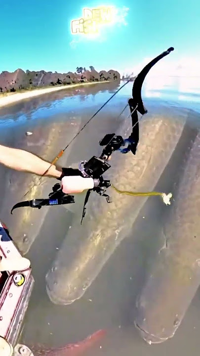 Gokil Atlet Panahan Mancing Ikan Dengan Cara Yang Berbeda ⁉️ #amazing #fishing #viralvideo