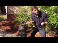Easy, Dog Trick: How to Teach your Dog to Speak or Bark When you Ask. Easy, Dog Trick: How to Teach your Dog to Speak or Bark When you Ask.