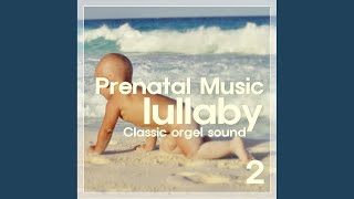 드뷔시 : 아라베스크 1번 마장조 (Debussy : Arabesque No.1 In E Major L.66)...