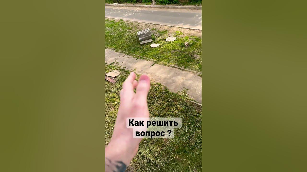 Где живут там и срут - YouTube