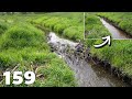 Manual beaver dam removal no159  and strengthening the stream bank