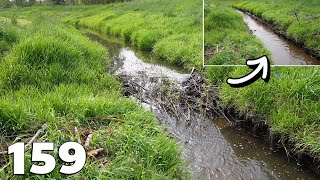 Manual Beaver Dam Removal No.159  And Strengthening The Stream Bank