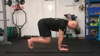 Static Beast 2-Point Holds