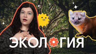 ВЫУЧИ лексику по теме ЭКОЛОГИЯ легко! - ВИДЕО на АНГЛИЙСКОМ ЯЗЫКЕ