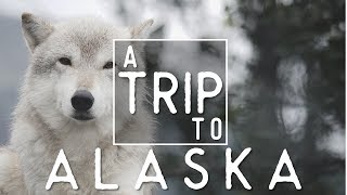 ALASKA IN 4K - Tim and Fin