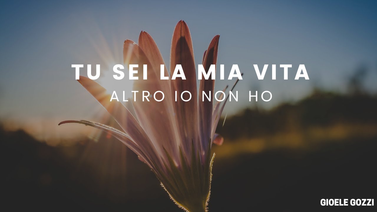 TU SEI LA MIA VITA ALTRO IO NON HO -  Gioele Gozzi