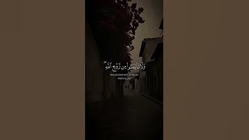 تلاوه من سورة يوسف بصوت الشيخ ياسر الدوسري Trending Quran قران كريم راحة نفسية قرآن 
