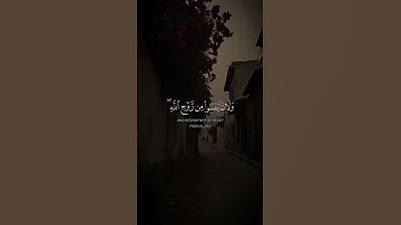 تلاوه من سورة يوسف|بصوت الشيخ ياسر الدوسري🎧♥️#trending #quran #قران_كريم #راحة_نفسية #قرآن