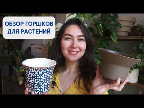 ВСЕ ВСЕ ВСЕ мои КАШПО и ГОРШКИ для растений - ОБЗОР керамики для комнатных РАСТЕНИЙ