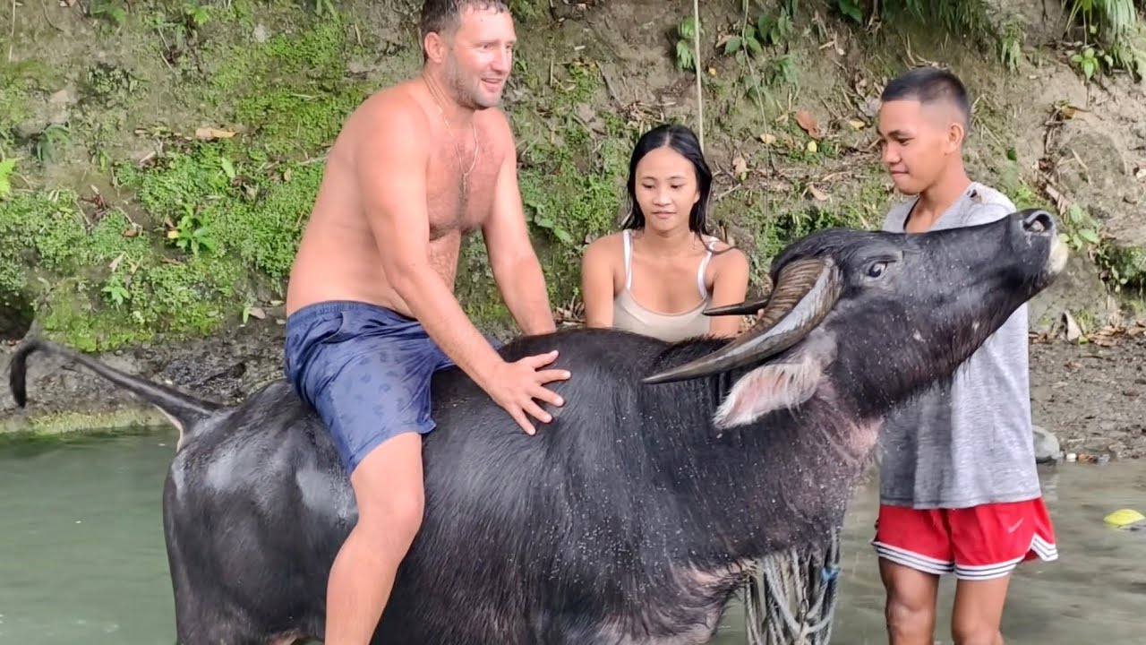 I AM RIDING FILIPINO CARABAO FOR A FIRST TIME IN MY LIFE! 
