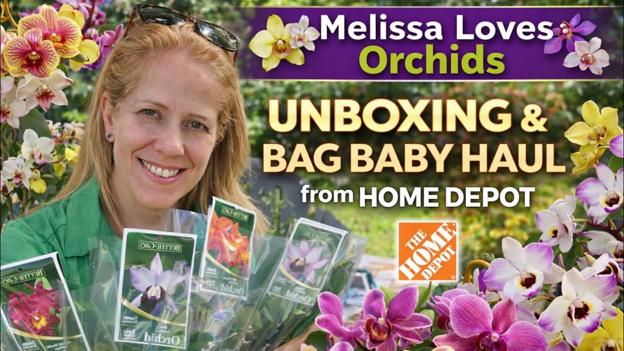New Orchids! Unboxing and some new bag babies from Home Depot