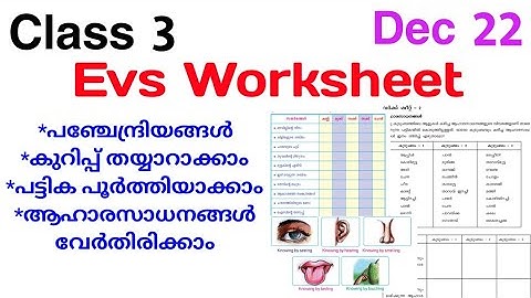 Class 3 Evs Worksheet Dec 22|Std 3 Evs Worksheet 22/12/21|Std 3 Environmental Studies Worksheet|std3