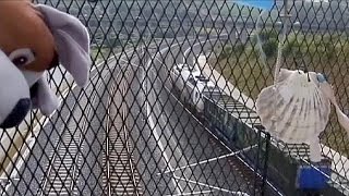 Ceremonies held on anniversary of Santiago de Compostela train crash screenshot 4