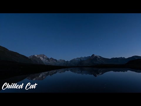 Bransen, Chase Stephen - snooze