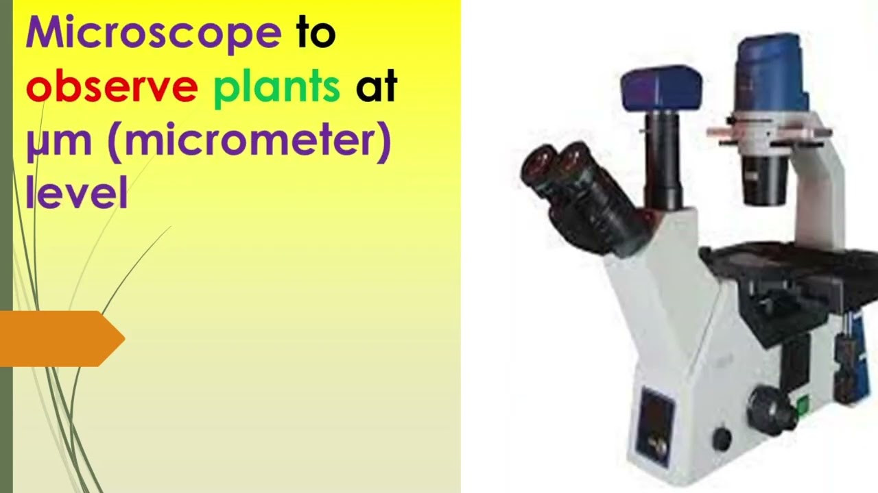 EdTech and AgriTech at Plants Pioneers