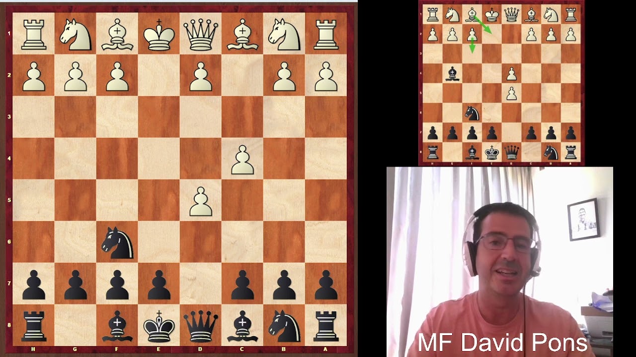 Repertorio contra 1.e4 : Juega la portuguesa (Parte 2)