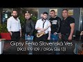 GIPSY FERKO SLOVENSKÁ VES - E fajta pes nadikel