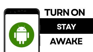 How to Turn On Stay Awake in Developer Options screenshot 2
