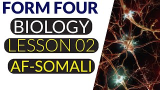 Form Four Biology Lesson Two Classes Of Neurons Af-Somali