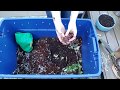 Vermicomposting 101: How to Create & Maintain a Simple Worm Bin