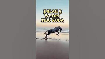 Inilah 5 weton tibo kuda menurut primbon jawa #shorts #feedshorts #primbonjawa