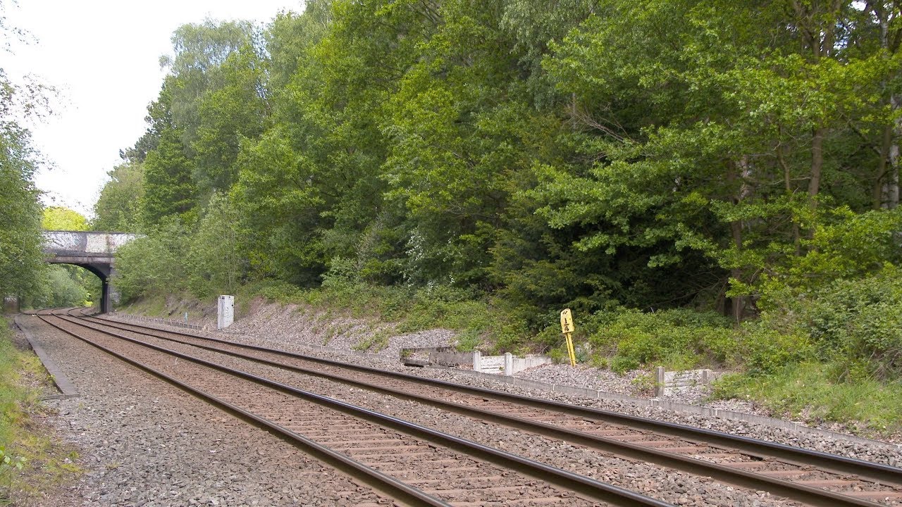 Plenty of diesel variety in one hour at Sutton Park May 2019 - a 4K video