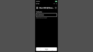 Blum CEO @ Binance Blockchain Week#blum #blum codes  #airdroptokens #cryptoairdrop #blum#latokenapp